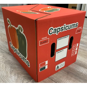 8 KG CAPSICUM BOX LID  