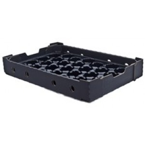 STONEFRUIT TRAY|BOX LINER - COUNT 25